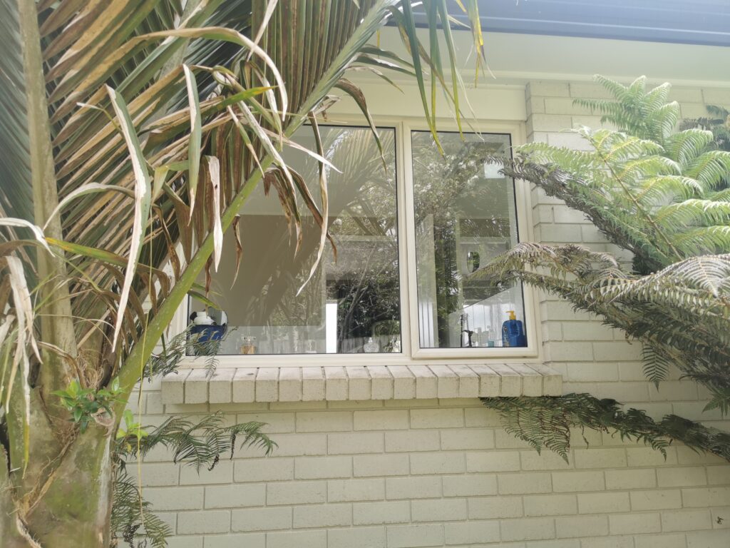 window glass replacement auckland