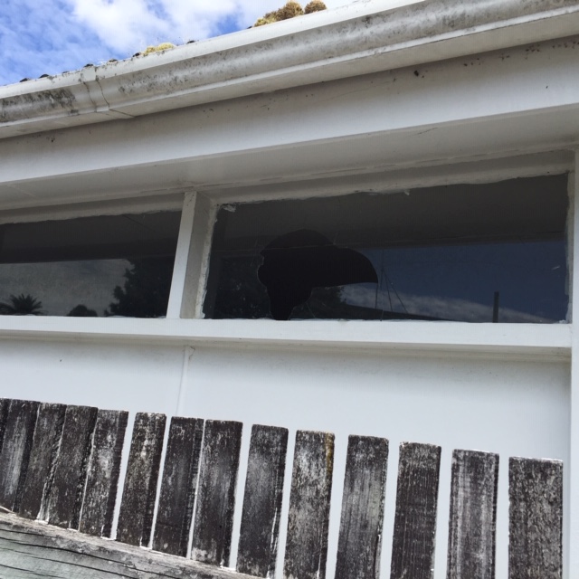 a broken window is waiting for us to repair
Auckland insurance repair
Insurance repairs auckland
Insurance claims Auckland
Total Glass and Mirror
tgm.net.nz
Window repair
Door repair